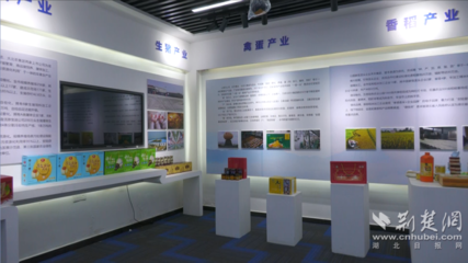 安陸鏈式招商 一根米粉串起的百億食品產業鏈與網絡文化經營新路徑