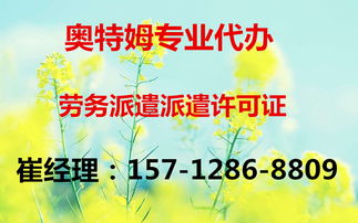 全面解析代理延慶縣網絡文化經營許可證的辦理要點與流程
